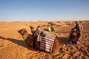 Caravan Prints: Tunisia, Ksour Area, Ksar Ghilane, Grand Erg Oriental Desert, camel caravan