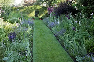 Mixed Border Prints: Turf garden path and mixed-borders in a garden