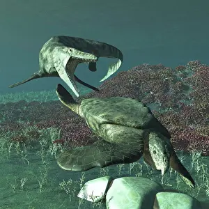 Extinct Prints: Tylosaurus proriger preying on a giant Archelon sea turtle