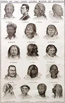 Races Prints: Types of the Chief Living Races of Mankind. Dated 19th Century