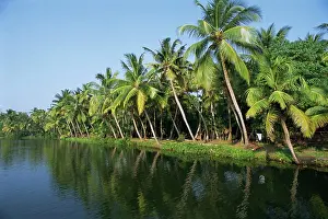 Canal Prints: Typical backwater scene, waterway fringed by palm trees