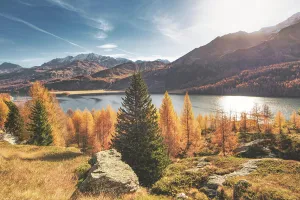 Berg Prints: Typische Herbstlandschaft im Hochgebirge der Schweizer Alpen *** typical Autumn Landscape at High mountains the Swiss
