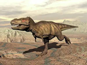 Animal Prints: Tyrannosaurus Rex dinosaur running across rocky terrain