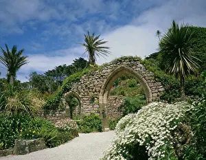 England Prints: UK - England, Cornwall, Isles of Scilly - Tresco, Tresco Abbey Gardens