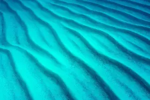 Bahamas Prints: Underwater Sand Ripples