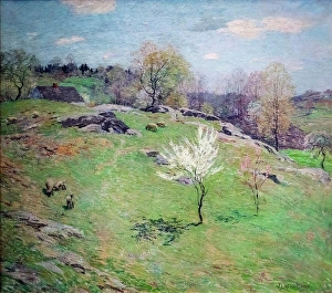 Picture Frame Prints: Unfolding Buds; 1909 Oil on canvas Willard Metcalf; American; 1858 - 1925