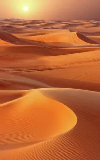Alien Prints: United Arab Emirates, Dubai, Dubai Desert