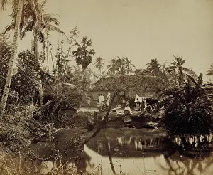 Circa Prints: Untitled. Samuel Bourne (England)