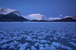 Frozen Prints: Upper Kananaskis Lake in Peter Lougheed Provincial Park