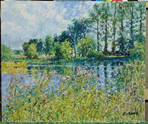 Thames Prints: The Upper Thames at St. John's Meadows Near Buscot