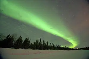 Glowing Prints: USA, Alaska, Cleary Point, Northern lights (Aurora borealis) glowing brightly over Steese Highway