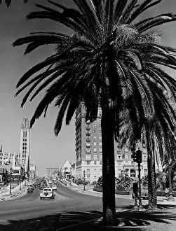 Walkway Prints: USA, California, Los Angeles, Wilshire Boulevard shopping district