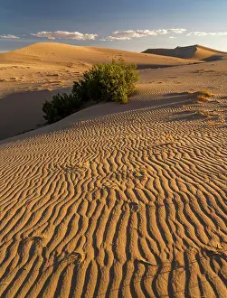 American Southwest Prints: USA, California. Mojave Trails National Monument, Cadiz Dunes