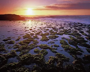 Large Format Prints: USA, California, San Gregorio State Beach, Tide Pools at sunset