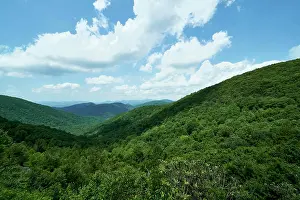 Georgia Prints: USA, Georgia, Chattahoochee National Forest