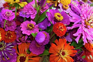 USA, Georgia, Savannah, Bouquet of colorful flowers at market. (PR)