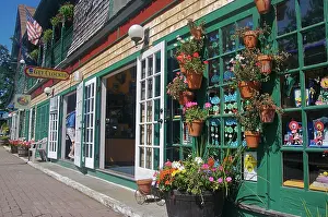 Doors Prints: USA, Maine, Bar Harbor. Colorful Bar Harbor storefronts and potted flowers