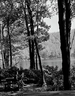 USA, Massachusetts, Savoy Mountain State Forest, Young woman painting by lake