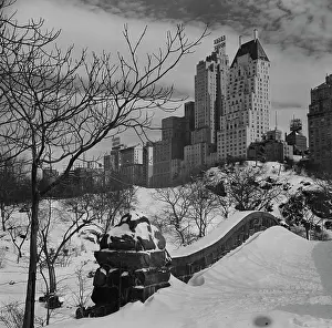 Manhattan Prints: USA, New York City, Central Park in winter