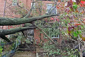Breeze Prints: USA, New York City, Queens, Aftermath of tropical hurricane Sandy, October 30, 2012