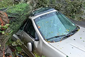 Breeze Prints: USA, New York City, Queens, Aftermath of tropical hurricane Sandy, October 30, 2012