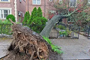 Home Prints: USA, New York City, Queens, Aftermath of tropical hurricane Sandy, October 30, 2012