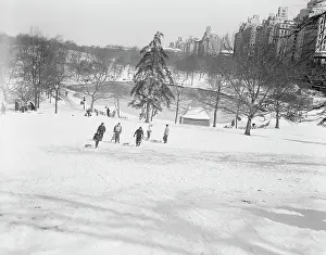 New York State Prints: USA, New York State, New York City, Central Park in winter