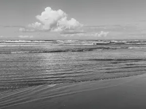 Cumulus Prints: USA, Oregon, Cannon Beach. Cumulus cloud over ocean in black and white