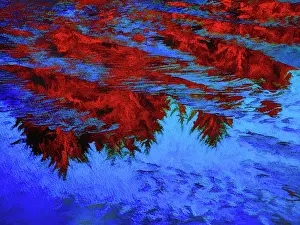 USA, Oregon, Sunset Bay State Park. Abstract of reflections on beach water