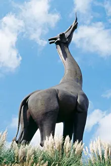 Dallas Prints: USA, Texas, Dallas, Dallas Zoo, low angle view of giraffe statue