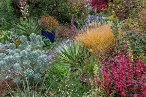 Jaynes Gallery Prints: USA, Washington State, Lemolo. Garden in autumn