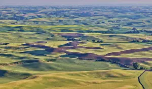 USA, Washington State. Rolling wheat fields from Steptoe Butte State Park