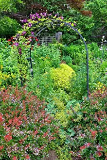 Darrell Gulin Prints: USA, Washington State, Sammamish. Garden in bloom in sunny location