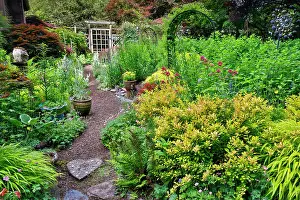 Darrell Gulin Prints: USA, Washington State, Sammamish. Garden in bloom in sunny location