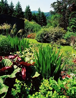Leinster Prints: Valclusa Gardens, Co Wicklow, Ireland, Butterfly garden