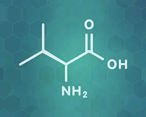 Protein Prints: Valine amino acid molecule, illustration