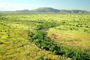 Mountain Prints: Varied vegetation with diverse habitats on a broad black soil plain of tropical savannah grassland and woodland