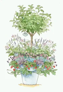 Increase Prints: Various plants in pot