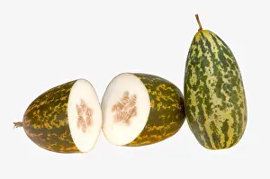India Prints: Vegetable, Cucumber Madras with white background
