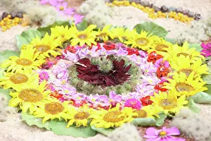 Vegetal mandala
