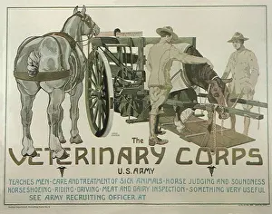 Poster Prints: The Veterinary Corps