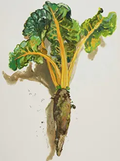 Expressive Prints: Vibrant chard painting by Isy Ochoa captures the beauty of fresh garden produce in art