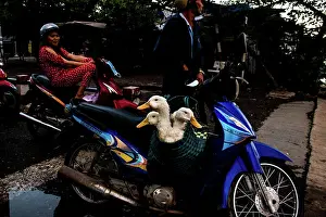 Crisis Prints: VIETNAM - ON THE FERRIES OF THE DELTA OF MEKONG