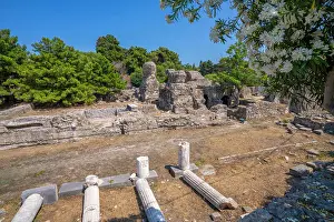 Columns Prints: View of Ancient Agora and flowering trees