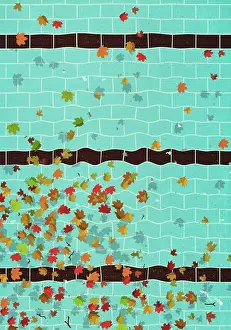 Change Prints: View from above of autumn leaves floating on swimming pool water