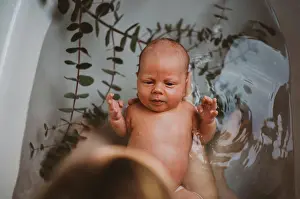 Mothers Day Prints: Top view of baby in bath tub with eucalyptus leaves after being born