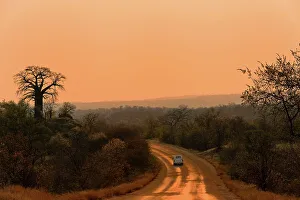 Adansonia Digitata Prints: View of Baobab Hill is just to the west of the H1-8 that links Punda Maria Camp to the Pafuri area in the north of