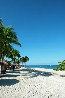 Nationalpark Prints: View of the beach with coconut palm trees