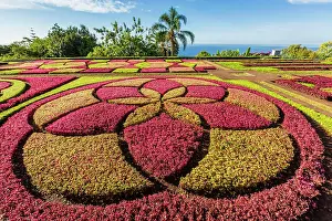 Formal Garden Prints: A view of the Botanical Gardens