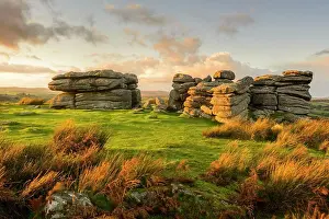 Moor Prints: A view of Combestone Tor